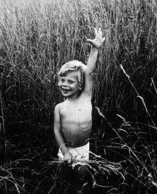 Animal, 1971