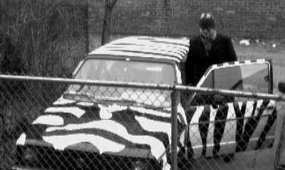 Zebra, 1992